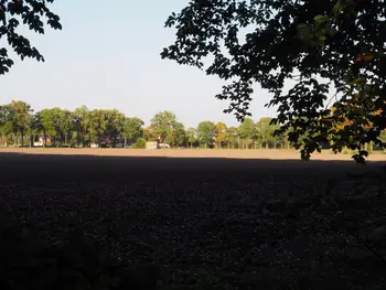 Vagevuurbos an Lippensgoed-Bulskampveld (Belgium)